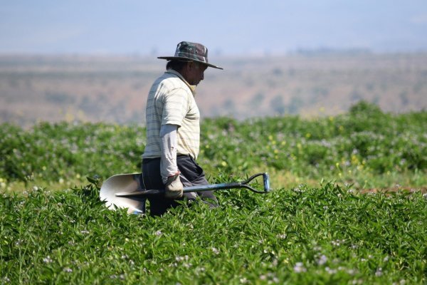 Chile y España impulsan una agricultura más resiliente a la crisis climática