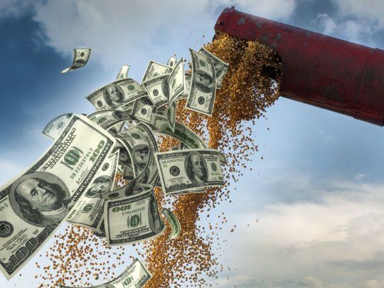  Dólar agro: despegaron las operaciones y se liquidaron u$s574 millones
 