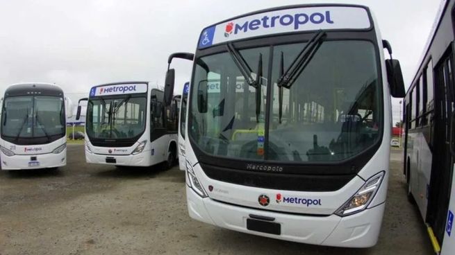  Qué líneas de colectivo están de paro hoy
 