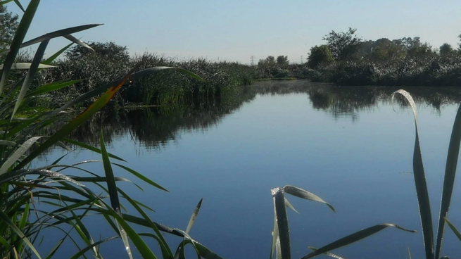  Inauguraron el paseo de la Reserva Natural más grande de GBA
 