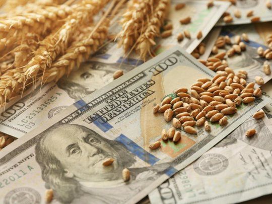  Primera semana del dólar agro: ingresaron u$s815 millones
 