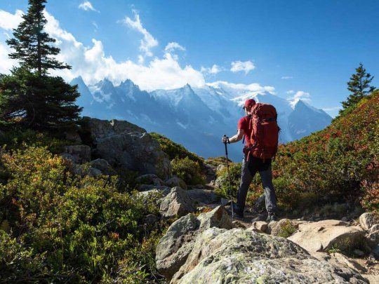  ¿Cómo se hizo tan grande la Cordillera de los Andes?
 