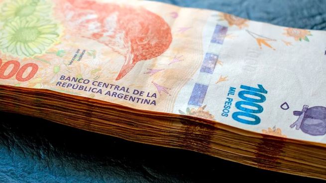  Carrera de los pesos 2023: ¿cuáles son los bonos ganadores y qué tener en cuenta para lo que viene?
 