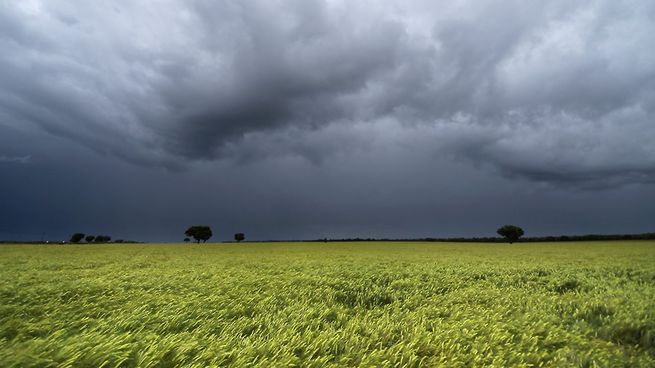  Alerta por lluvias y vientos fuertes: ¿quiénes están afectados?
 