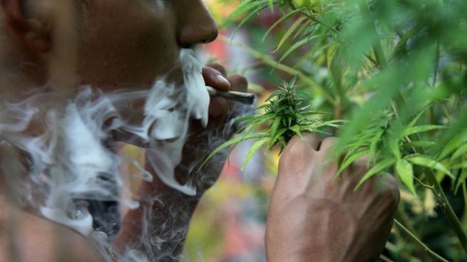  Ahorcarán a un hombre que quiso traficar un kilo de cannabis
 