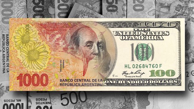  Dólar o peso: ¿qué efectos tendría en los salarios de los argentinos dolarizar la economía?
 