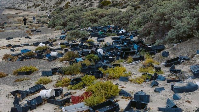  Contaminación en un Patrimonio de la Humanidad: la Península de Valdés tapada de plástico
 