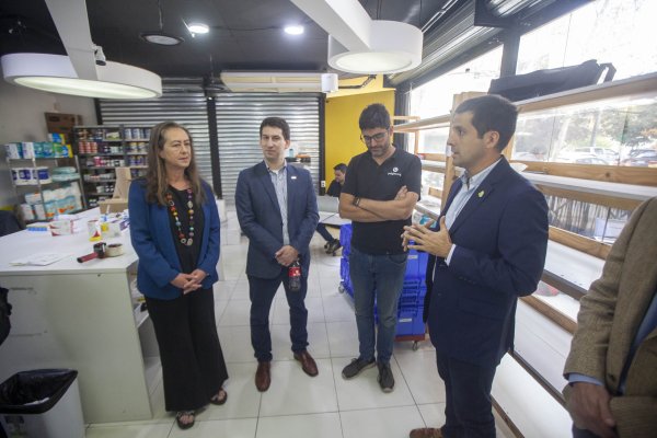 Nueva garantía estatal para créditos a startups debuta con Algramo, Políglota y Fracción