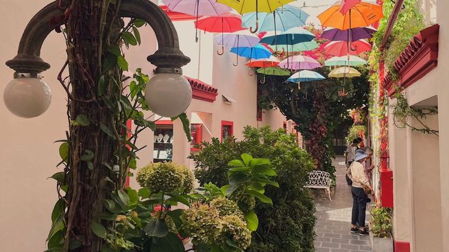  Antiguo y tradicional: San Telmo y sus recorridos al aire libre ideales para el otoño 
 