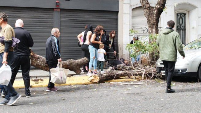  Rosario: una mujer resultó herida luego de que se le cayera un árbol en la cabeza
 