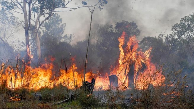  Controlaron los incendios en Corrientes y no quedan focos activos en el país
 