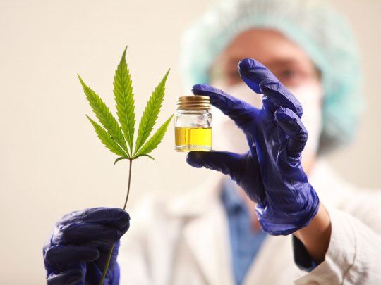  Destacan resultados en el uso del aceite de cannabis para tratar la epilepsia refractaria
 