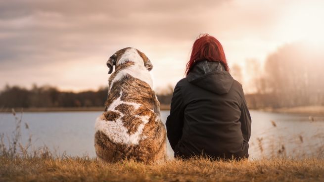  ¿Pueden las mascotas salvar nuestro cerebro?
 