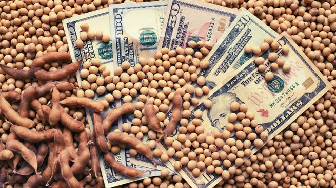  Suman más productos al dólar agro
 