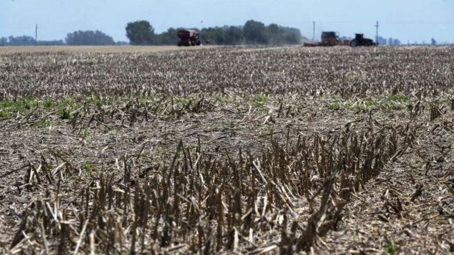  Por las heladas, el Gobierno declaró el estado de emergencia agropecuaria en Córdoba
 