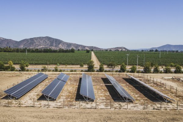 Viña Concha y Toro logra abastecer sus operaciones en Chile, Argentina y EEUU con energías renovables