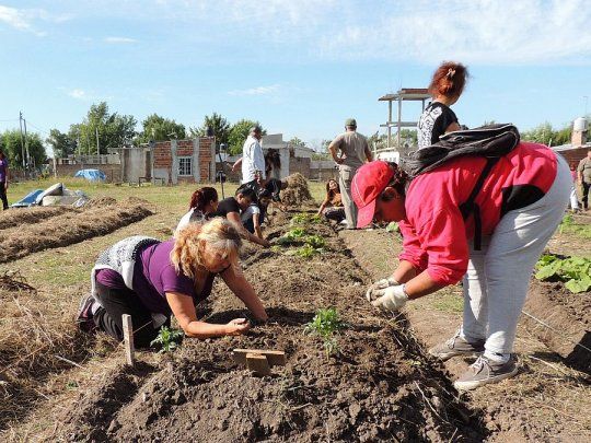  Educación ambiental: apuntan a concientizar y crear más 