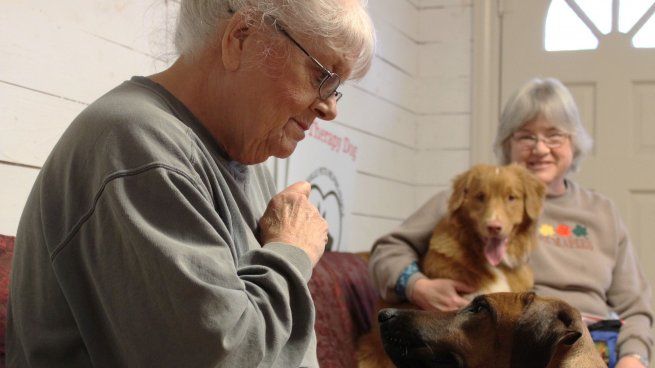  Aceptarán visitas de mascotas en los geriátricos de la Ciudad
 