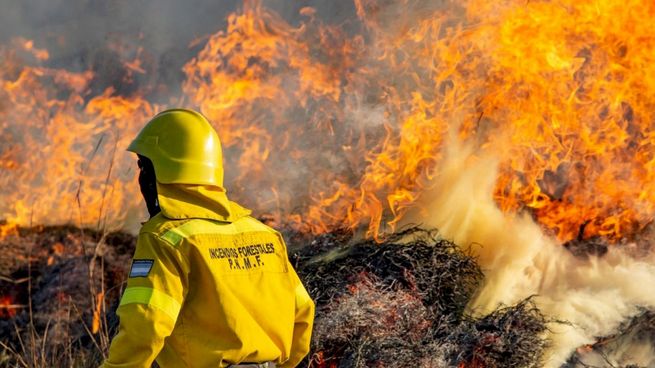  Procesan a un hombre por iniciar un incendio forestal por el caño de escape de su tractor dañado
 