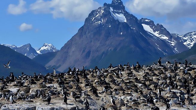  Ruta del Fin del Mundo: guía para conocer los imperdibles de Tierra del Fuego
 