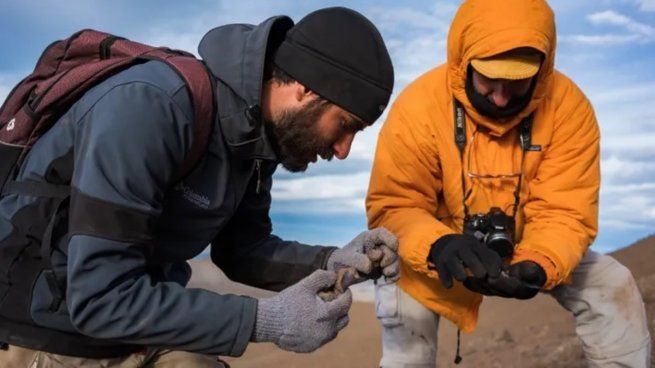  Científicos argentinos descubren un dinosaurio herbívoro gigante en la Patagonia
 