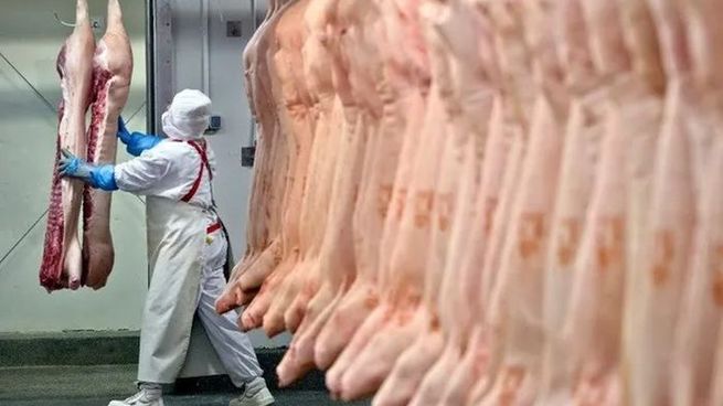  Carne vacuna: en abril crecieron la faena, producción, exportaciones y el consumo
 