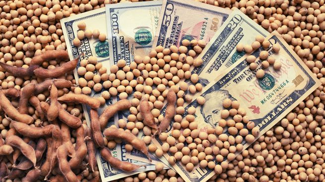 Dólar: el precio internacional y la mala cosecha de soja local afectan el ingreso de divisas al BCRA
 