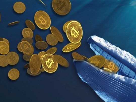  Afirman que el Gobierno de Estados Unidos es una de las ballenas Bitcoin: qué hay detrás
 