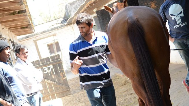  AFIP detectó 100% de irregularidad laboral en campo de entrenamiento de caballos
 