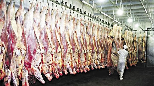  Carne vacuna: crecieron fuerte las exportaciones pero caída de precios le pega al negocio
 