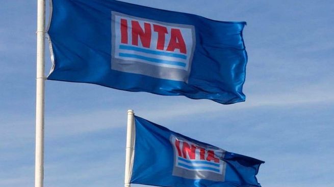  Hackearon al INTA y los reportes del SMN están en peligro
 