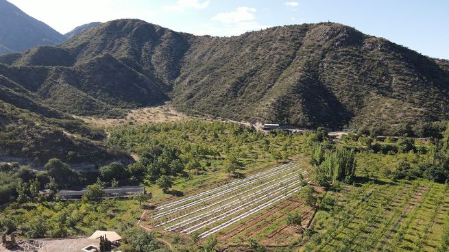  Turismo cannábico: ya funciona la primera finca en la Argentina
 