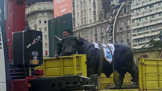  Se manifestaron en el Obelisco y les secuestraron la estatua de un toro
 