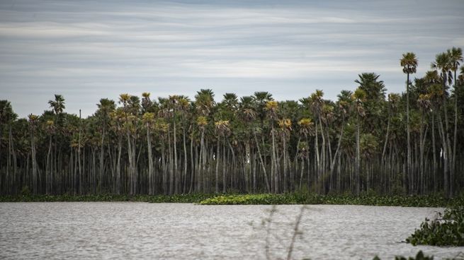  Nuevo parque nacional: Laguna El Palmar se suma al sistema de áreas protegidas
 