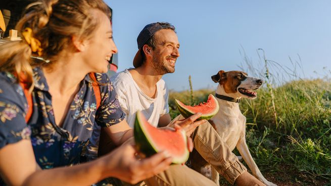  Conocé los 12 alimentos que te harán feliz de forma natural
 