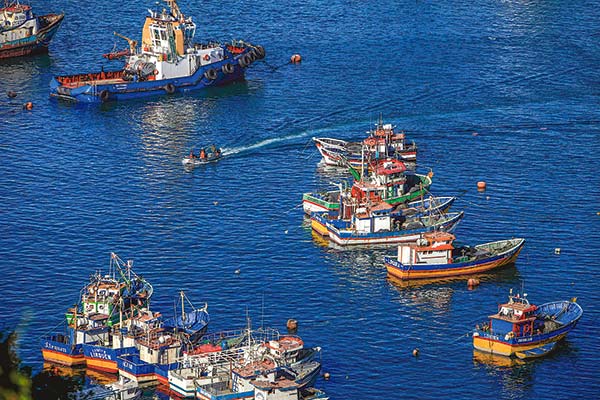 Gobierno ingresará nueva Ley de Pesca durante el segundo semestre: 