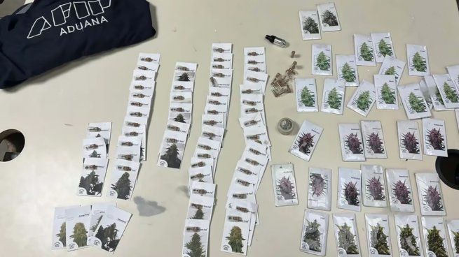  Tour de compras a Chile: un argentino quiso pasar 1600 semillas de marihuana
 