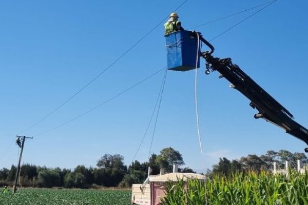 Cables robados a CGE en el primer trimestre alcanzarían para una línea entre Santiago y Curacaví