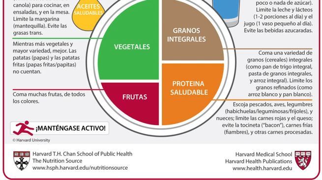  Expertos de Harvard descubren el alimento que no puede faltar en la dieta diaria
 