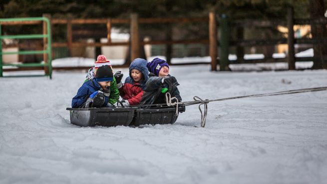  Vacaciones de Invierno: estos son los destinos más elegidos por los argentinos
 