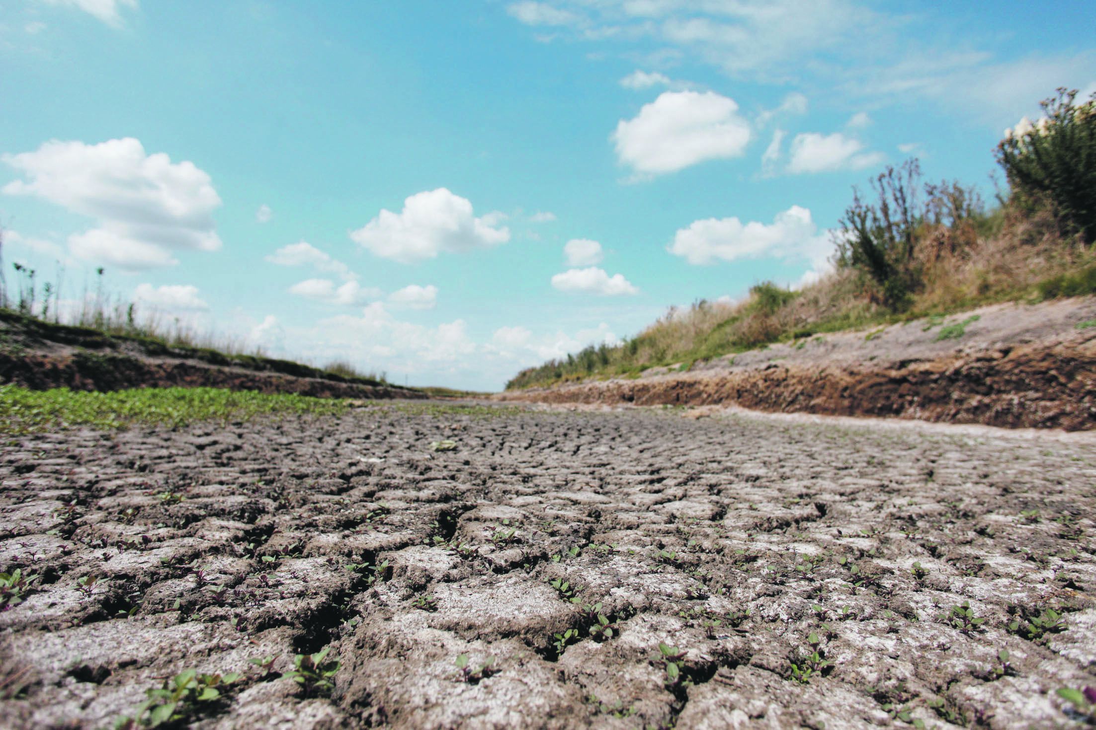  Sequía y Gripe Aviar: el Gobierno declaró la emergencia agropecuaria en tres provincias
 