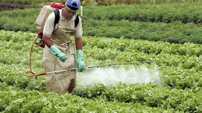  Padre de niño muerto por agrotóxicos dijo que la Justicia 