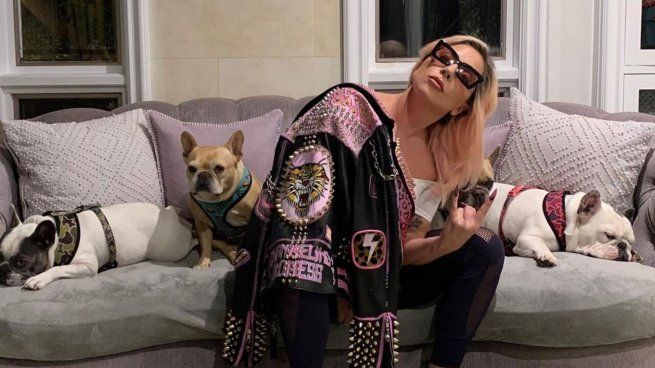  Lady Gaga se niega a pagar la recompensa por recuperar a sus perros robados
 