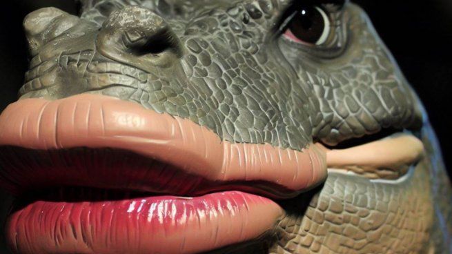  Fin de un mito: descubren que el tiranosaurio rex tenía labios para proteger sus dientes
 