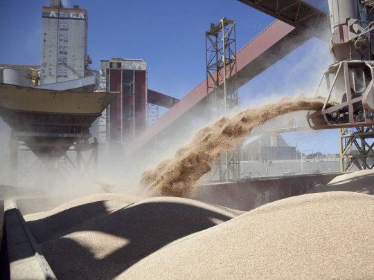  Fusión Bunge-Viterra: se acentúa concentración en exportaciones locales del agro
 