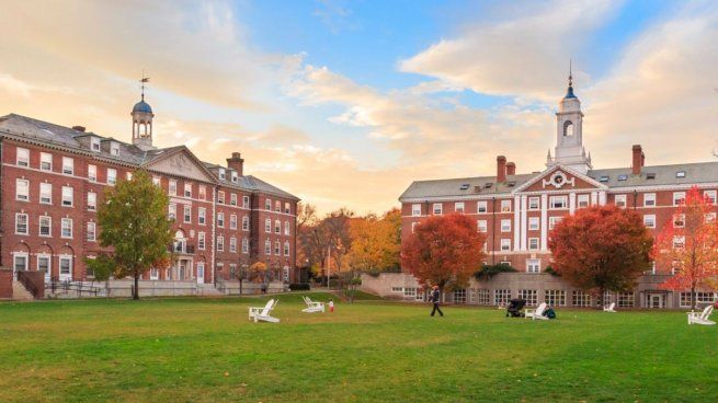  Harvard ofrece cursos gratuitos y online: cómo inscribirse
 