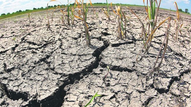  Una sequía histórica y dos emergencias, todo lo que hay que saber de la crisis que azota al Uruguay
 