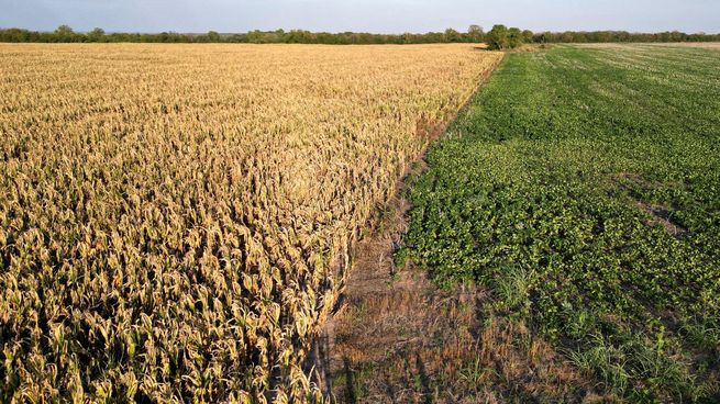  Gobierno anticipa medidas para el campo y no descarta modificar el esquema de retenciones
 