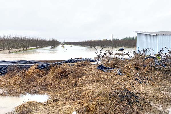 Agricultores alertan por daños en infraestructura y Gobierno anuncia primeras medidas de ayuda