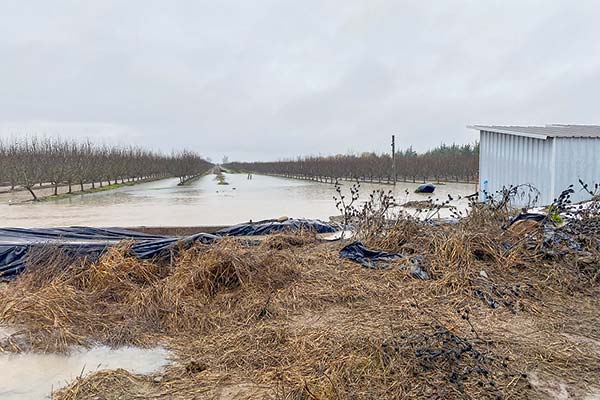 Gobierno inicia catastro de daños en sector productivo tras lluvias e inundaciones